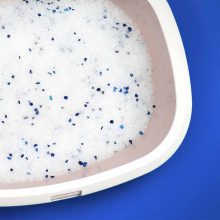 CAT RINA LongLife szilikagél macskaalom 16L