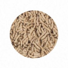 SERA Sticks Cichlids Sticks Nature 10L/2kg  pálcikás haleledel