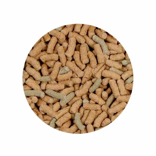 SERA Raffy P Nature 10 Liter eleség vizi teknősőknek