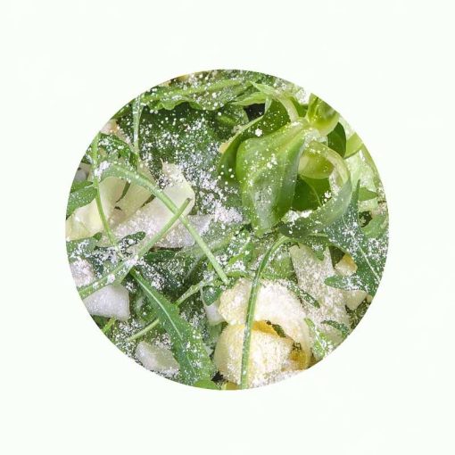 SERA Reptimineral H 100ml  vitamin és ásványianyag porszárazföldi teknősöknek