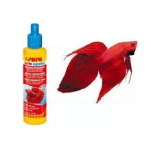 SERA Betta Aquatan 50ml/200L  (Vízelőkészítő Bettáknak)