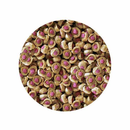 SERA KOI Professional-Nyári 1mm/500g