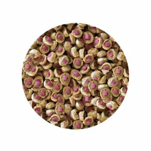 SERA KOI Professional-Nyári 3mm/1000g