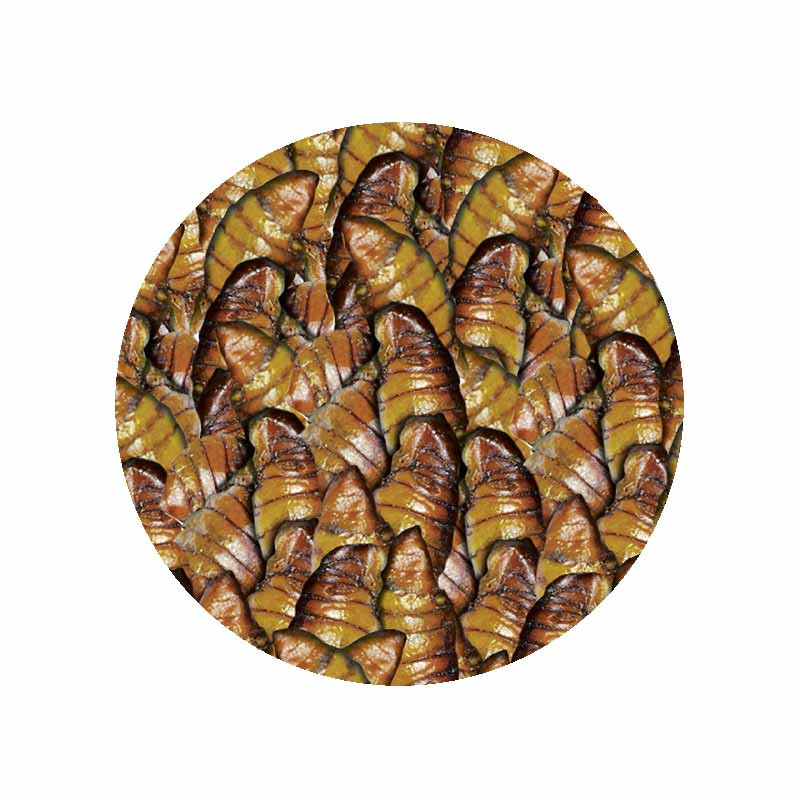 sera Koi Silkworm Nature 1000 ml 330 g