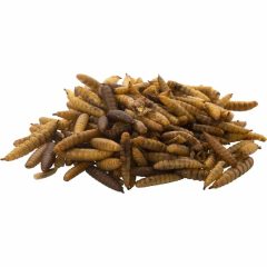 Trópus szárított Fekete Katonalégy Lárva 50g