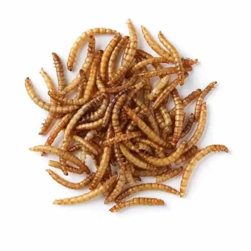 Trópus szárított lisztkukac 50g