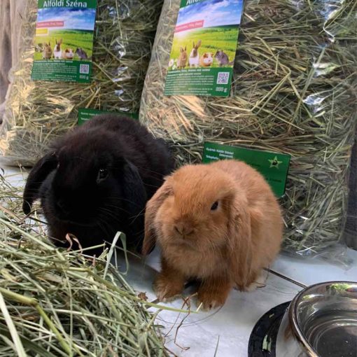 ALFÖLDI SZÉNA - Kádár Dani 800g KAMILLÁS