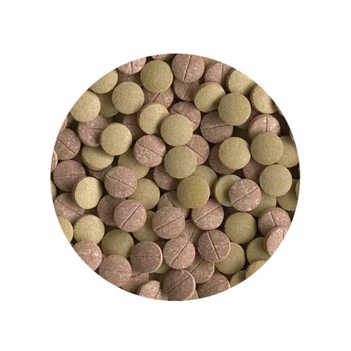 TETRA PlantaStart 12 kapszula táptabletta akváriumi növényekhez