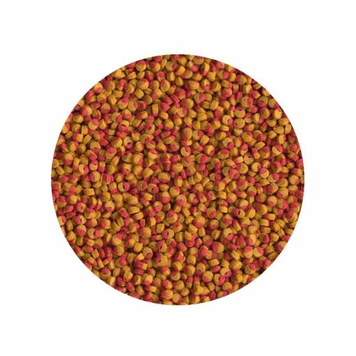 TETRA Cichlid Colour Mini Pellets 500 ml haleledel sügéreknek