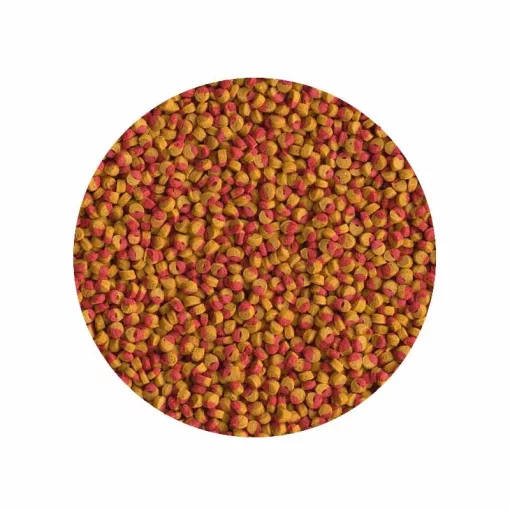 TETRA Cichlid Colour Mini Pellets 10 L haleledel sügéreknek