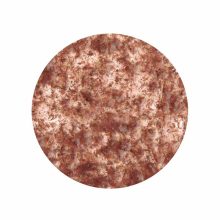 TETRA Fresh Delica Brine Shrimps 48 g akváriumi zselés haleledel