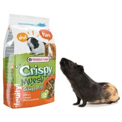 VERSELE-LAGA Crispy CAVIA Tengerimalac 850g