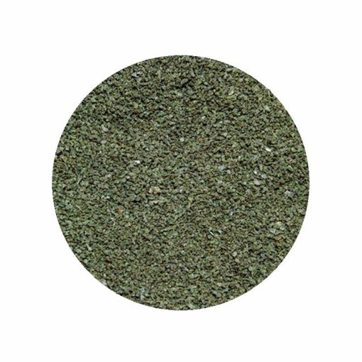 JBL PRONOVO SPIRULINA Grano S 100ml (CLICK)