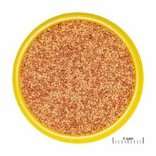 JBL PRONOVO Color Grano S 100ml (CLICK)