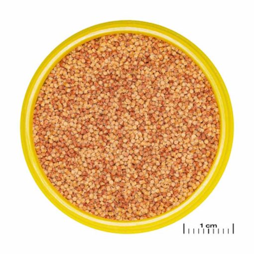 JBL PRONOVO Color Grano S 100ml (CLICK)