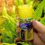 JBL PRONOVO Color Grano S 100ml (CLICK)