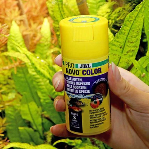 JBL PRONOVO Color Grano S 100ml (CLICK)