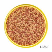 JBL PRONOVO Color Grano M 250ml (CLICK)
