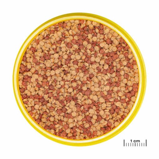 JBL PRONOVO Color Grano M 250ml (CLICK)