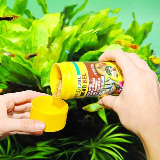 JBL PRONOVO BEL Flakes M 100ml (lemezes eleség akváriumi halaknak)