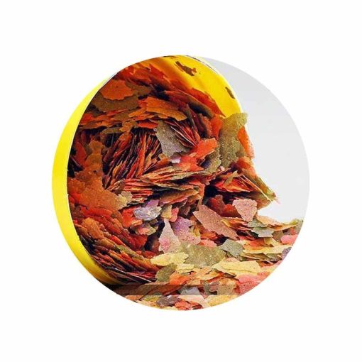 JBL PRONOVO BEL Flakes M 100ml (lemezes eleség akváriumi halaknak)