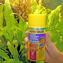 JBL PRONOVO Color Flakes M 100ml