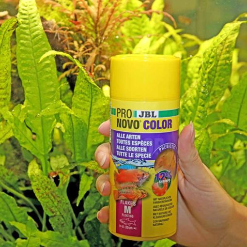 JBL PRONOVO Color Flakes M 250ml