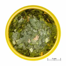 JBL PRONOVO Guppy Flakes S 100ml