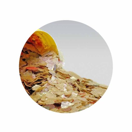 JBL PRONOVO RED Flakes M 100ml