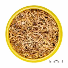 JBL PRONOVO Fil 250ml