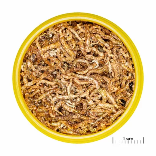 JBL PRONOVO Fil 250ml