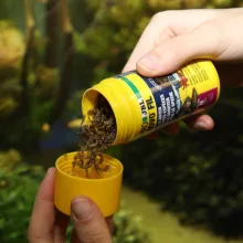 JBL PRONOVO Fil 250ml