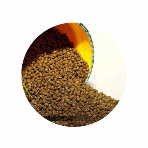 JBL PRONOVO RED Grano M 100ml (CLICK)