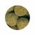 JBL PRONOVO PLECO Wafer XL 250ml