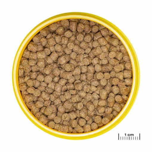 JBL PRONOVO LOTL grano M 250ml (Axolotnak)