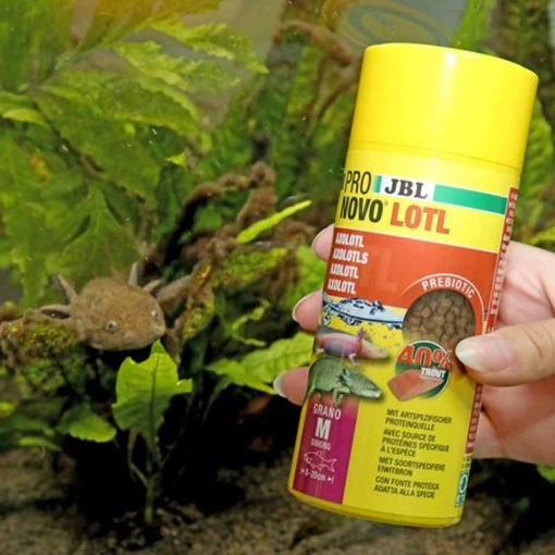 JBL PRONOVO LOTL grano M 250ml (Axolotnak)