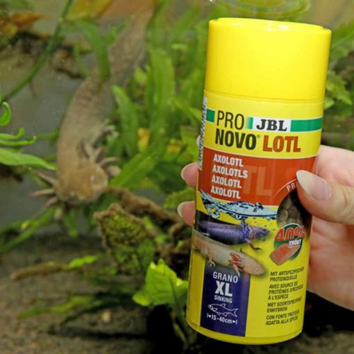JBL PRONOVO LOTL grano XL 250ml (Axolotnak)