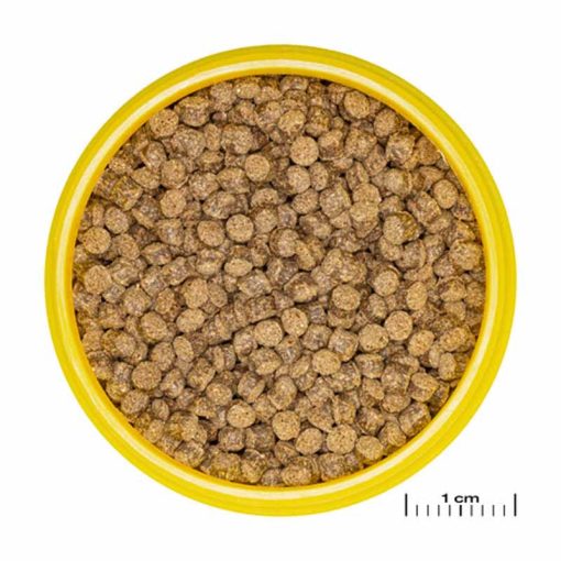 JBL PRONOVO Fantail Grano M 100ml (CLICK)