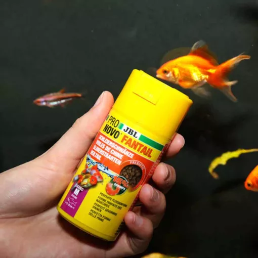 JBL PRONOVO Fantail Grano M 100ml (CLICK)