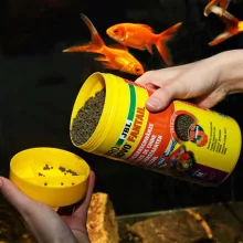 JBL PRONOVO Fantail Grano M 250ml süllyedő eleség aranyhalaknak
