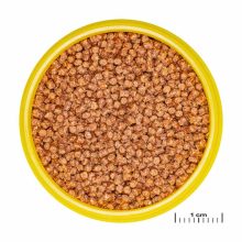 JBL PRONOVO Fantail Grano S 100ml (CLICK)