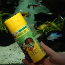 JBL PRONOVO Cichlid Grano S 250ml (CLICK)