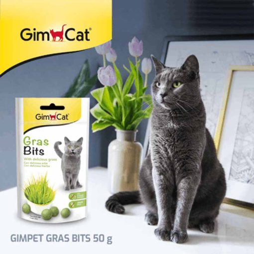 GIMCAT tabletta Gras bits zöldfű 50g