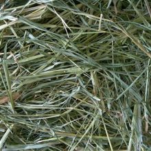 YOYO Réti széna 5L