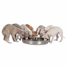 KT TRIXIE fém tál Kölyök Kutyáknak 1,4L/29cm