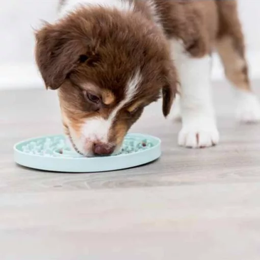TRIXIE junior Licking Plate Snack tányér menta 21cm
