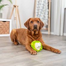 TRIXIE Latex Káposzta Malac 23cm Világoszöld játék kutyáknak
