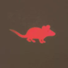 TRIXIE macska játék LED Pointer Lézer mutató 11cm Elemes