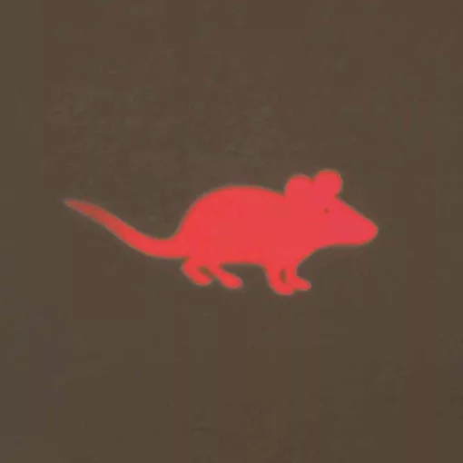 TRIXIE macska játék LED Pointer Lézer mutató 11cm Elemes