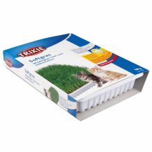 TRIXIE Macskafű Kölyök Macskának 100g